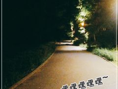 -长春市南湖公园