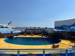 -海合安青岛极地海洋公园