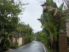 -清远熹乐谷温泉度假酒店