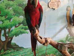 -辛玛王国游乐园