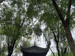 -桂湖森林公园