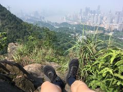 -南山植物园
