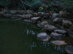 -南宁荔园维景国际酒店·荔园中餐厅