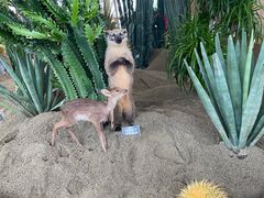 -中国天府农业博览园