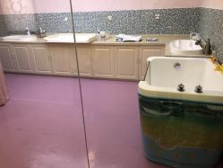 -海豚湾高端月子会所(黄浦店)