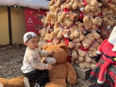 -HERRE·FARM 赫尔露营农场·团建聚会包场