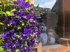 -回龙窝历史文化街区