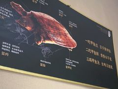 -王捌小院(红花坡店)