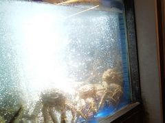 -徐记海鲜(曲江南湖店)