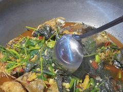 -岩泊渡桂鱼楼活鱼馆