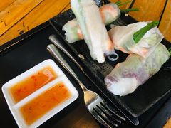春卷-Rainforest