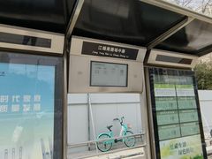 -上海市第四人民医院