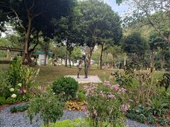 -阳台山森林公园