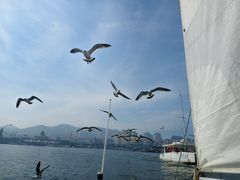 -拓恩帆船俱乐部