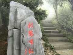 -梧桐山风景名胜区