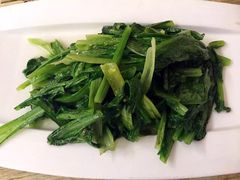-楼兰印象(朝外店)