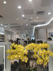 -Kraemer Paris  苏豪路易士·嘉玛发廊