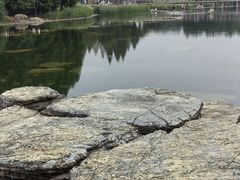 -滆湖低碳生态公园