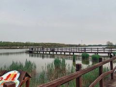 -西青郊野公园