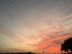 -姚记东北菜(金山店)