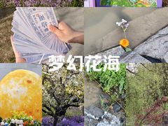 -江苏三台山国家森林公园