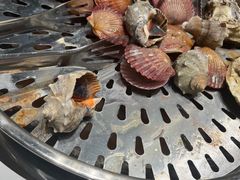 -大锅强·蒸海鲜青岛菜(吾悦广场店)