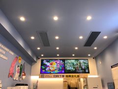 -一只酸奶牛(春熙路店)