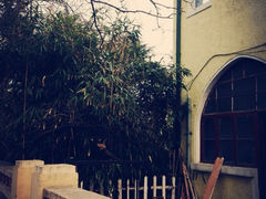 iphone_upload_pic-八大关景区