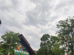 -苏州乐园森林水世界