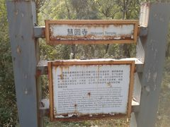 景点-淄博花灯齐彩城