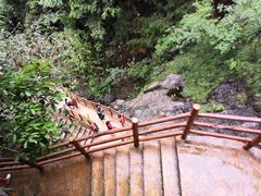 -福建天门山