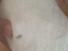 -宠物家(大兴旧宫店)