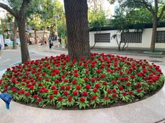 -团结湖公园