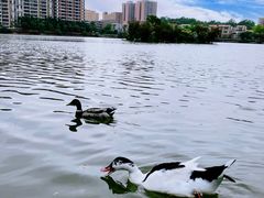 -万禧明珠大酒楼(海丰店)