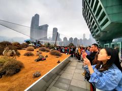 -重庆市江北嘴中央商务区中央公园