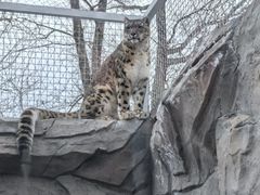 -青藏高原野生动物园