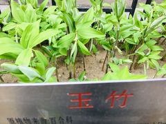 -鲜鱼口老字号美食街