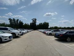 -大兴滨河森林公园