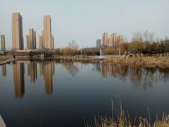 -前关湿地公园