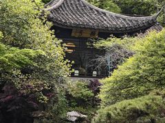 -乾园.魏庐湖景餐厅(花港店)