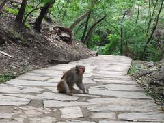 -北京上方山国家森林公园