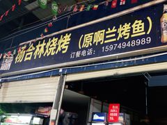 -杨合林啊兰烤鱼