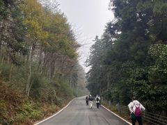 -四明山国家森林公园
