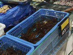 -四道口水产市场