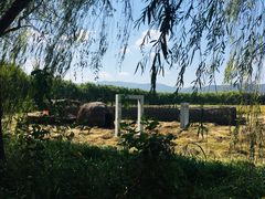 -长兴太湖图影湿地文化园