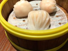 南拳虾饺皇-南拳十三姨·潮汕砂锅粥(世纪金源店)