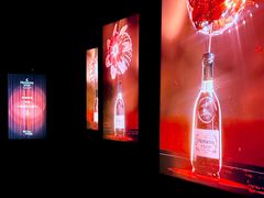 -精绝七日-新疆尼雅遗址数字大展【拉法耶文化艺术中心】