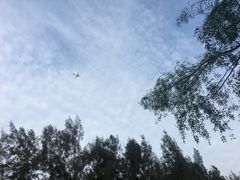 -宝安西湾红树林湿地公园