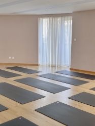 -酉嘉瑜伽YO+YOGA