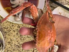 -禾斗海鲜自助(市南银座店)